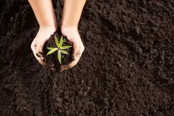 Residue-free farming field